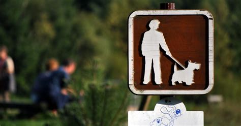 Boulay Moselle Déjections canines une amende de 135 pour les