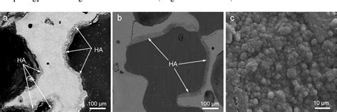 Figure From Microstructural Characterization And In Vitro Bioactivity