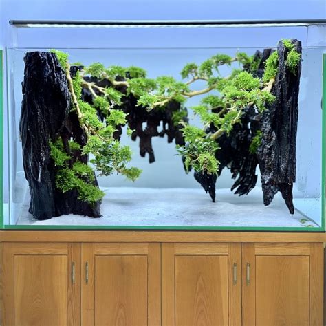 Aquascape Driftwood Aquarium Bonsai Aquascaping Fish Tank Decorations