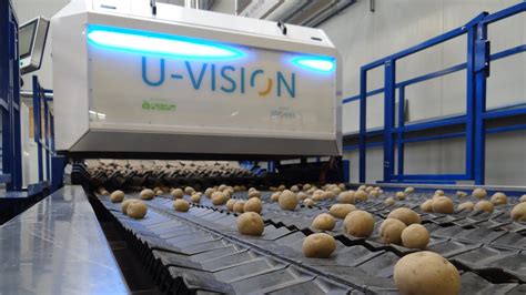 U Vision Optical Sorting Machine For Potatoes YouTube