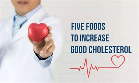 Five Foods To Increase Good Cholesterol Hdl Healthstory