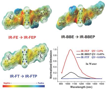 Rational Design Of Molecular Fluorophores For Biological Imaging In The