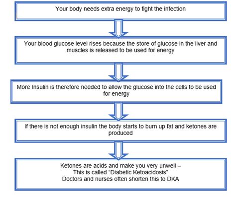 Diabetes Education Sick Day Rules Sidra Medicine