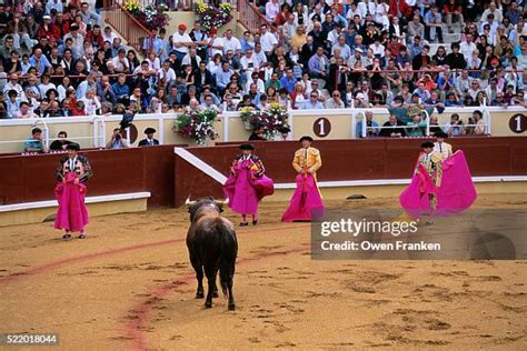 148 Bull And Matador Costume Stock Photos, High-Res Pictures, and ...