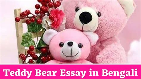 আমার প্রিয় খেলনা টেডি বিয়ার রচনা Teddy Bear Essay In Bengali