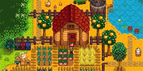 Stardew Valley How To Catch An Octopus