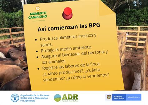 Fao Colombia On Twitter Sab Asque Las Buenas Pr Cticas Ganaderas