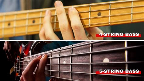 String Vs String Bass Which Bass To Choose Orchestra Central