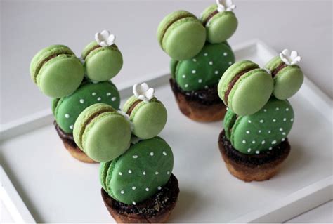 HOW TO MAKE THE SPINY CACTUS FRENCH MACARON Food Boiling