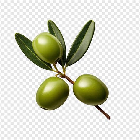 Olive Fruit Isolated On Transparent Background Premium Ai Generated Psd