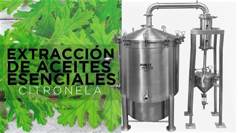 Extracci N De Aceites Esenciales De Citronela Destilador Por Arrastre