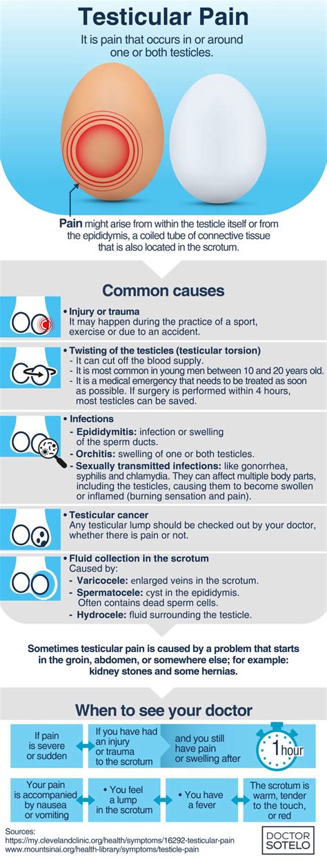 Testis Pain Reasons