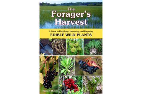 Best Foraging Books 7 Titles Every Forager Needs To Read