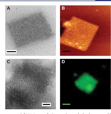 Figure From Structurally Defined Nanoscale Sheets From Self Assembly