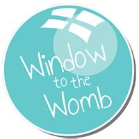 (15% off) Window to the Womb Promo Code & discount code | September 2022