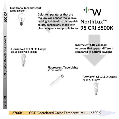 Full Spectrum Fluorescent Light Bulbs Shelly Lighting