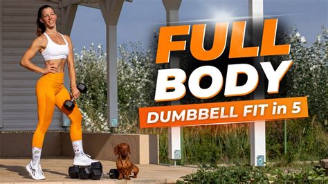 Dumbbell Fit In 5 Full Body Dumbbell Workout No Jumps Standing