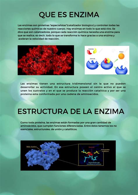 Enzimas Funcion Y Clasificación CALAMEO Downloader