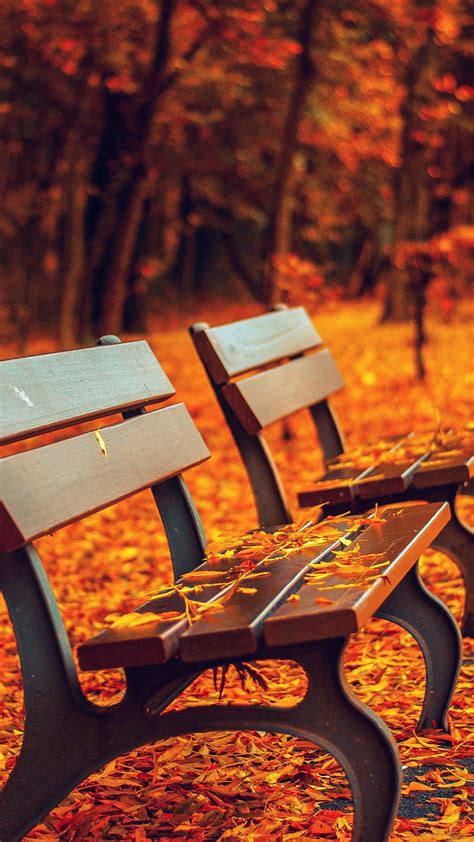 Autumn Android Wallpapers Wallpaper Cave