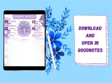 Cranial Nerves & Functions Worksheet Template-student Nurse Review ...