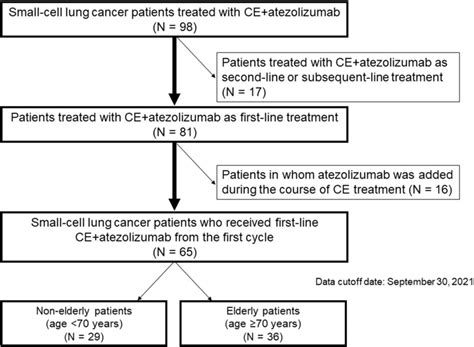 Patient Selection Diagram Patients Treated With Atezolizumab Plus Ce