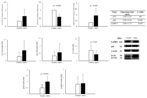 Stratification Of Amniotic Fluid Cells And Amniotic Fluid By Sex Opens