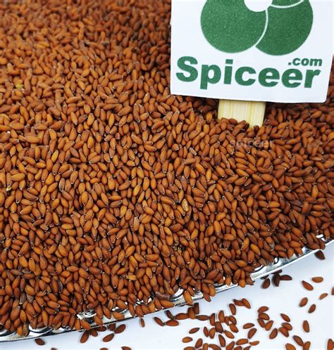 Garden Cress Seeds Lepidium Sativum Halim Aliv Organic حب الرشاد For Eating And Agriculture