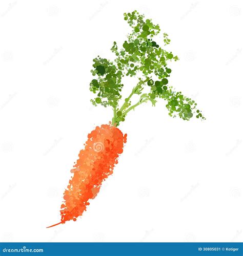 Fresh Carrots Illustration Of Blots Stock Vector Illustration Of Diet Modern 30805031