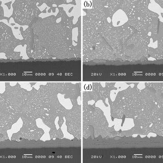 The Sem And Eds Images Of Solder Joints After Reflow A Sn Bi Ag