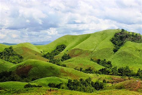 Melihat Keindahan Bukit Teletubbies Bromo Hamparan Hijau Bak Permadani