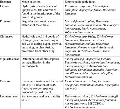 List Of Entomopathogenic Fungi Enzymes Produced And Their Mode Of