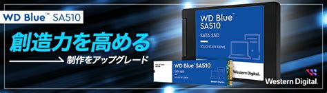 Western Digital Wd Blue Sata Ssd Tb