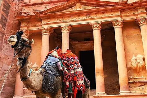 Tour Privato Di Un Intera Giornata A Petra E Wadi Rum Da Amman Fornito