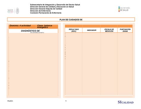 Formato Place Est Plan De Cuidados De Enfermer A Dominio