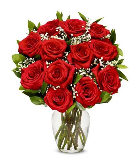 20 Best Flower Delivery Services in New Orleans - Petal Republic