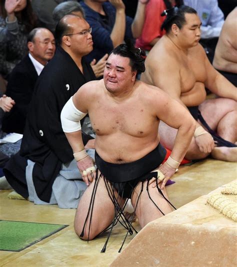 日馬富士2敗も2年ぶり優勝、白鵬と松鳳山敗れる 大相撲 日刊スポーツ