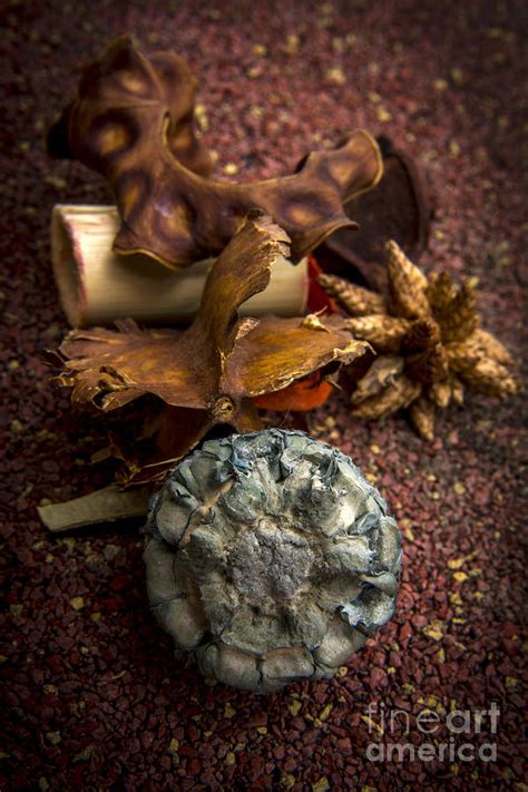 Potpourri Photograph By Bernard Jaubert Fine Art America