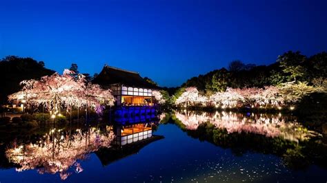 Kyoto Night Wallpapers - Top Free Kyoto Night Backgrounds - WallpaperAccess