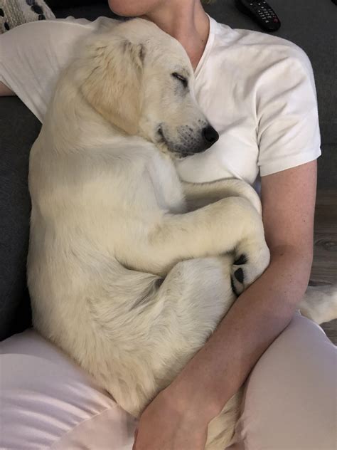 Snuggles With Mummy Rrarepuppers