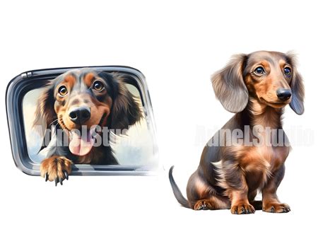 Dachshund Clipart Watercolor Dachshund Png Cute Dog Clipart Puppy