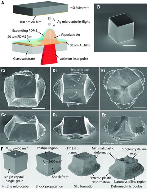 Dynamic Creation And Evolution Of Gradient Nanostructure In Single