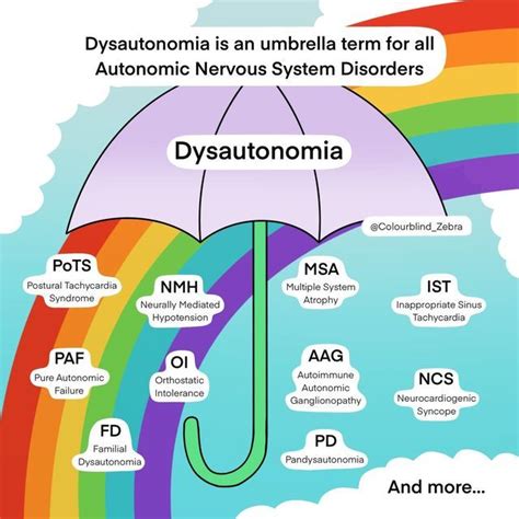 Dysautonomia Pots Syndrome Ehlers Danlos Syndrome Autonomic Nervous