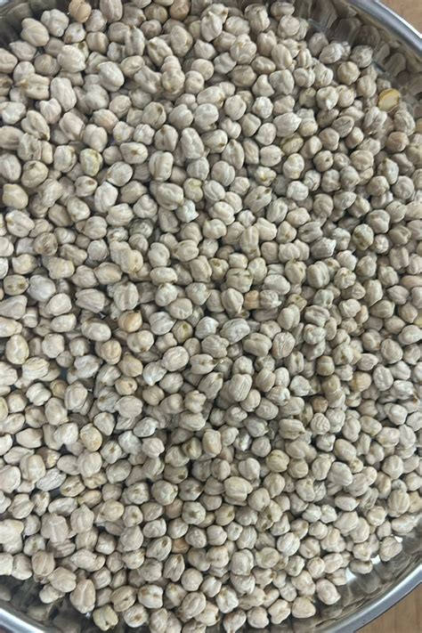 Mm Kabuli Chickpeas Packaging Size Kg At Rs Ton In