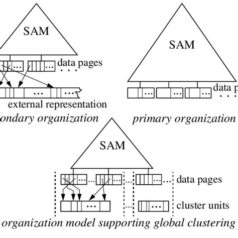 Schematic Structure Of The Cluster Organization Download Scientific
