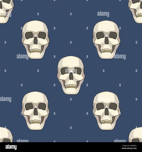 Seamless Pattern With Skulls Stock Vector Image Art Alamy