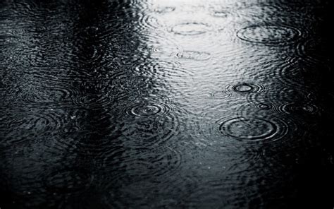 Black Monochrome Water Nature Reflection Rain Photography Water