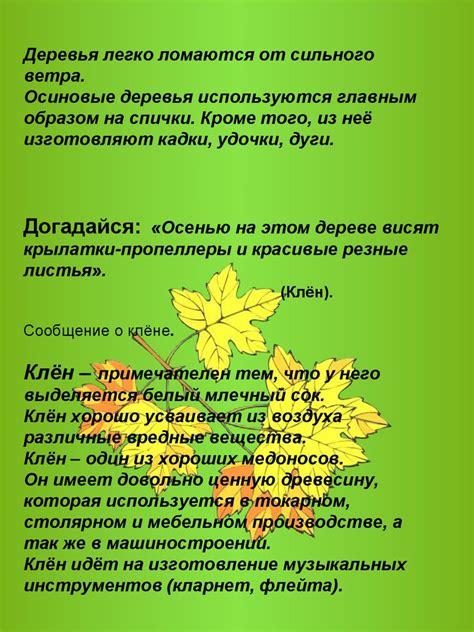 Растения леса - online presentation