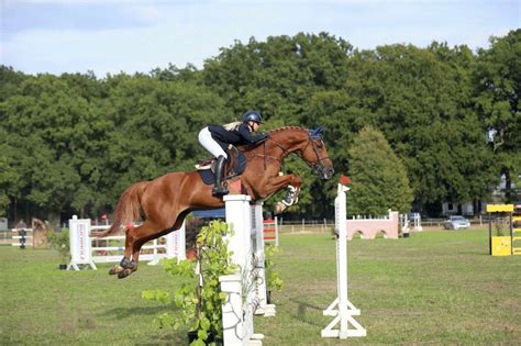 Kreismeisterinnen Und Meister Auf Reitsportevent Auf Topniveau Vor