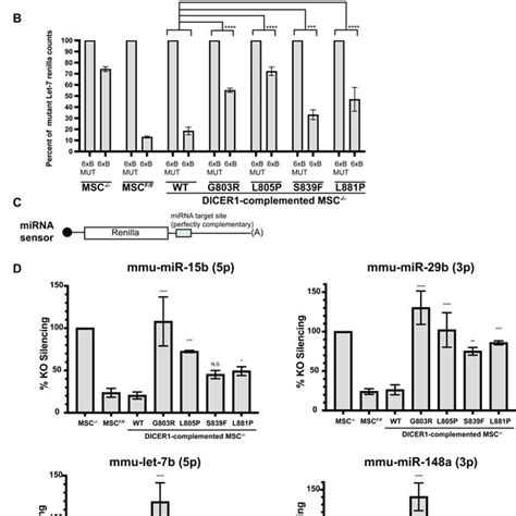 Luciferase Assay Validation Of Mirna Profiling Da Ta A Schema Tic