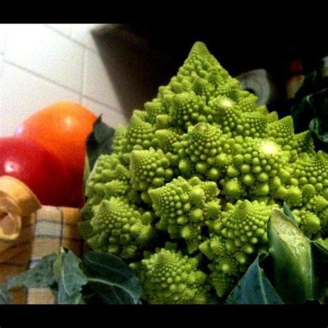 Fractal Fruit Romanesco Broccoli Broccoli Fruit